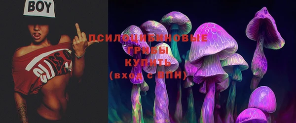 прущий лед Алексеевка