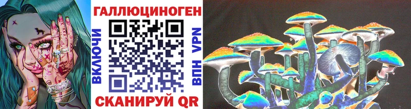 Галлюциногенные грибы Psilocybine cubensis  купить закладку  Ардон 